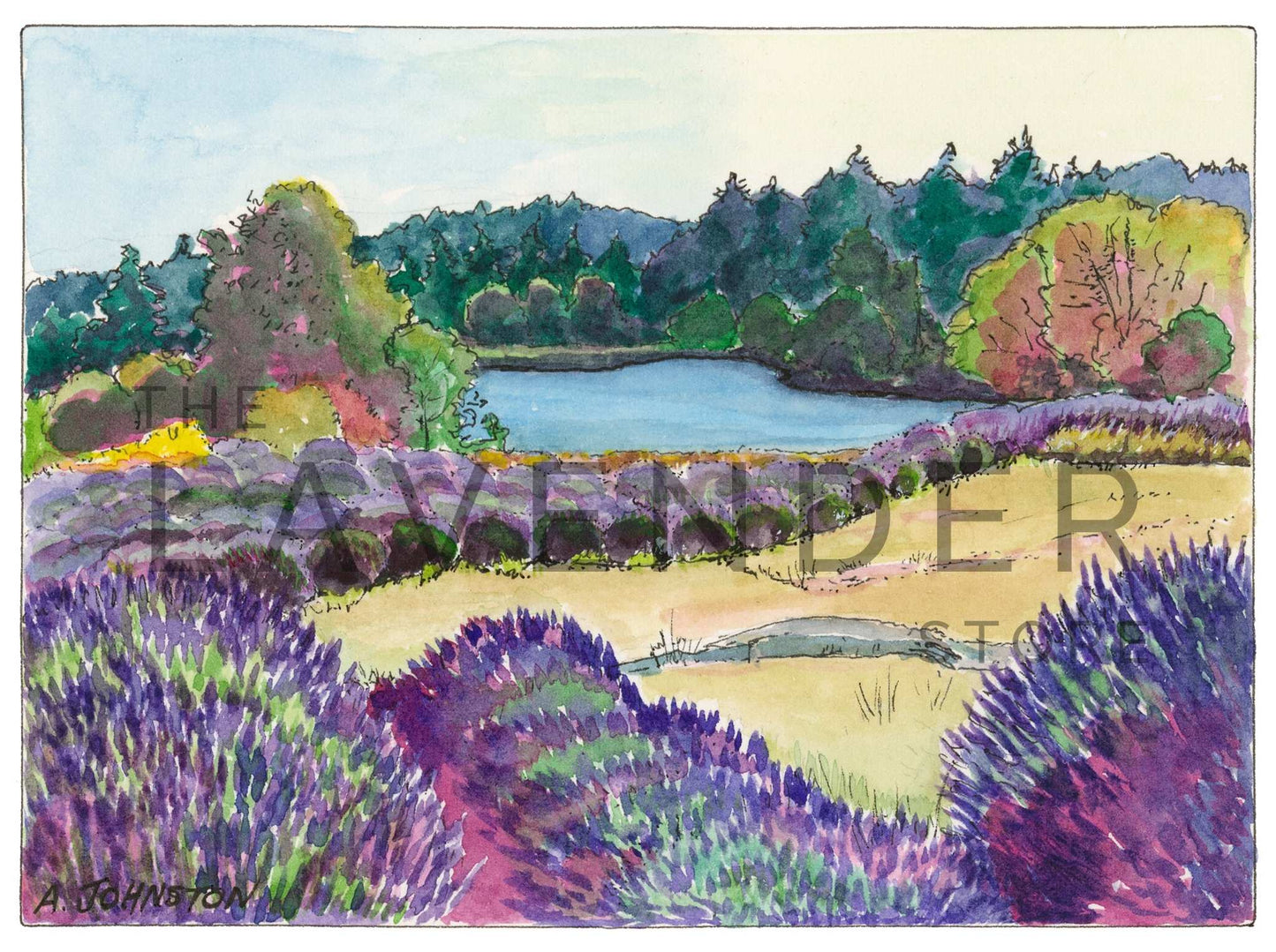 July at Pelindaba - Print showing lush lavender in full bloom under bright July skies at Pelindaba.