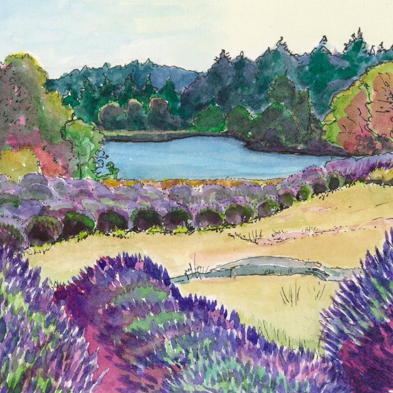 Lavender inspired artwork - Lavender Farm in bloom