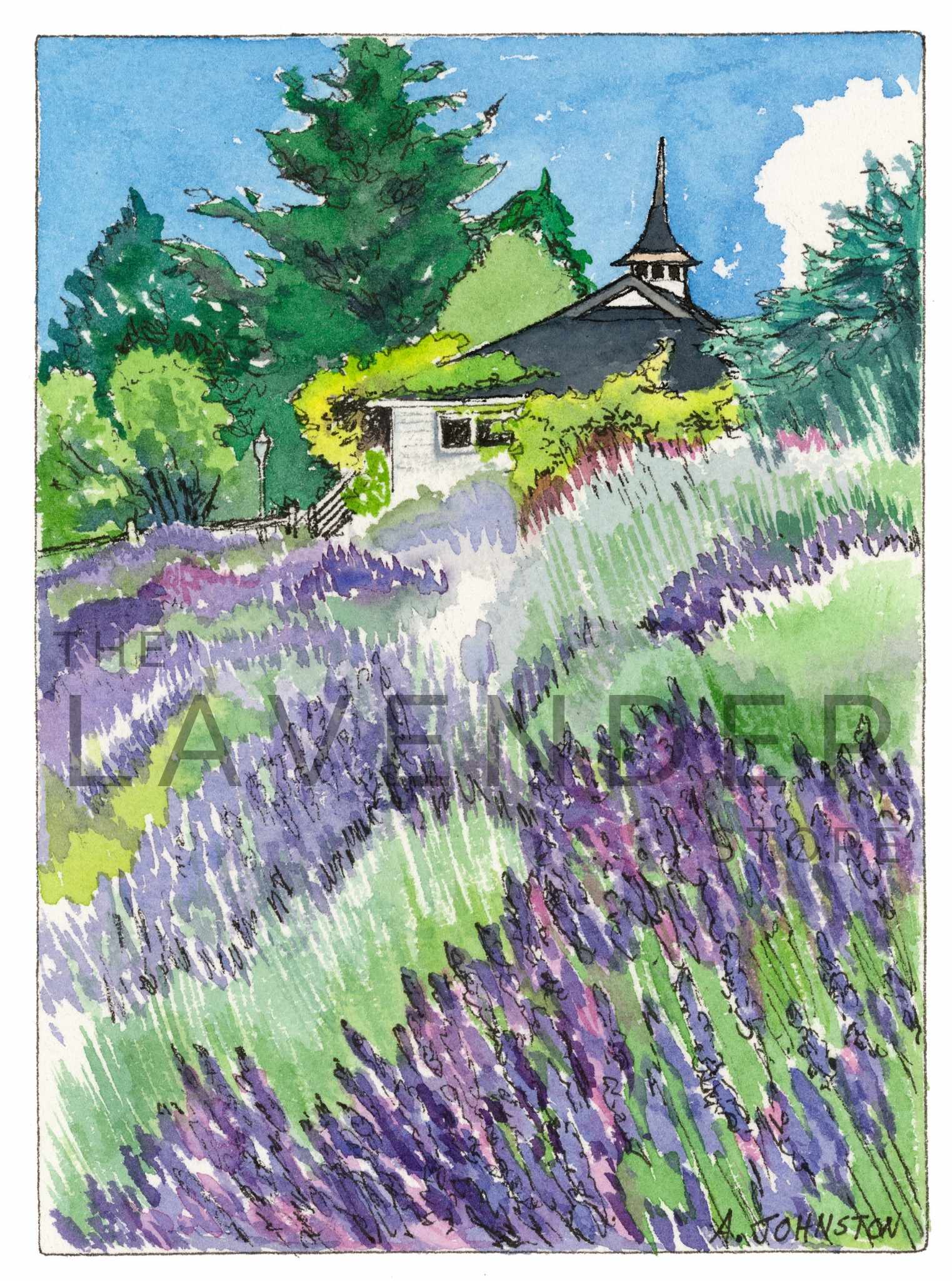 June at Pelindaba - Greeting Card displaying a lush summer lavender garden in vivid bloom.