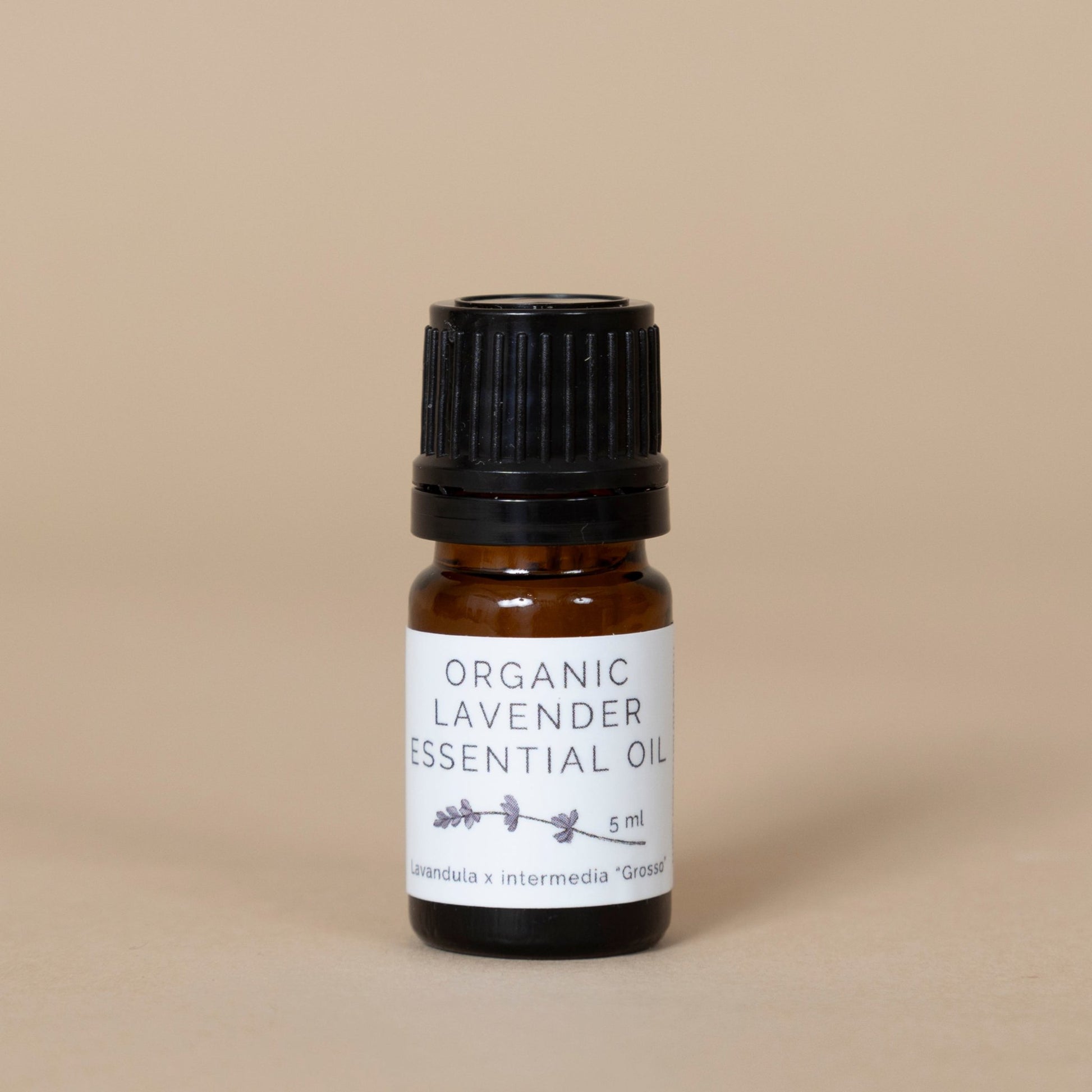 Organic Lavender Essential Oil