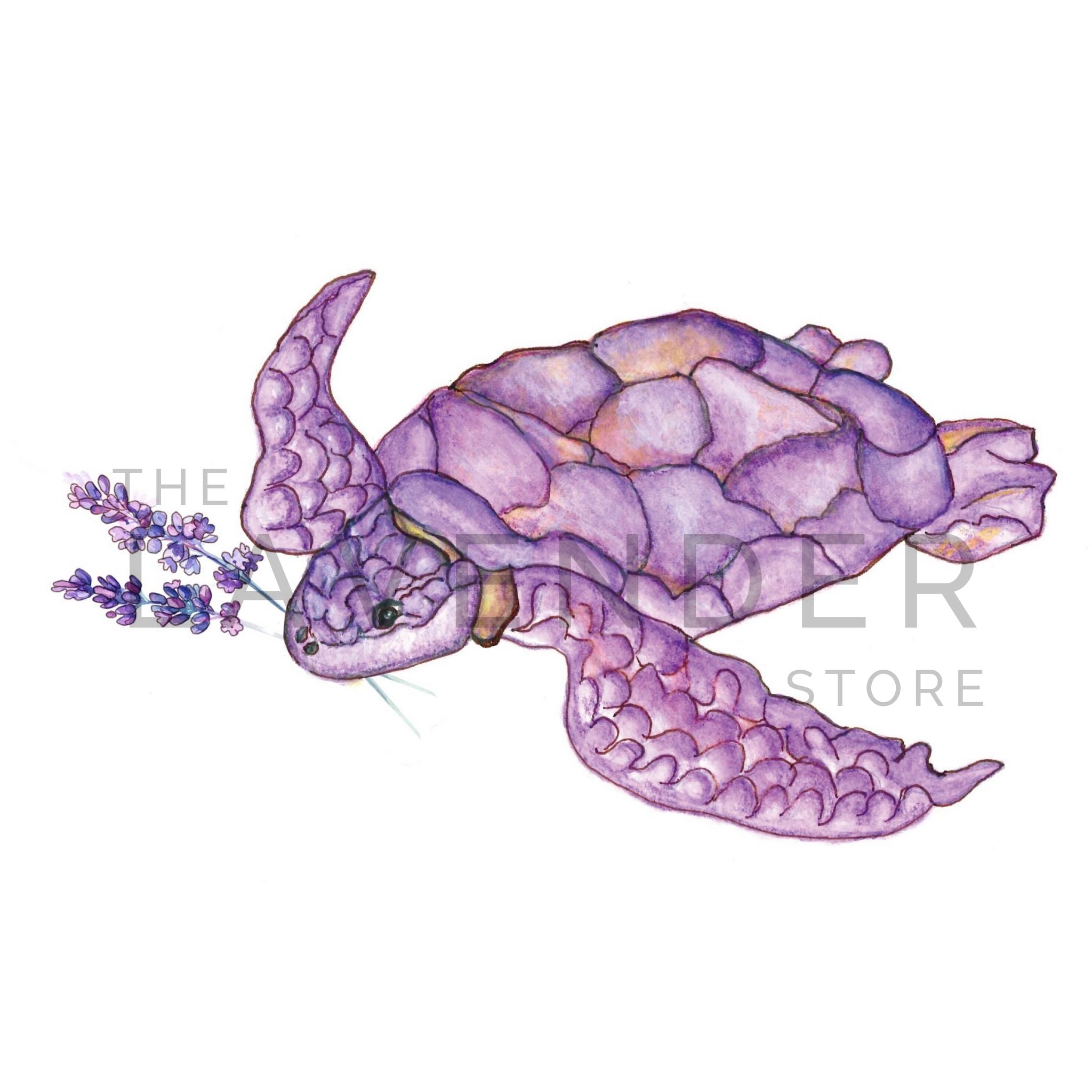Lavender Sea Turtle - Print – The Lavender Store
