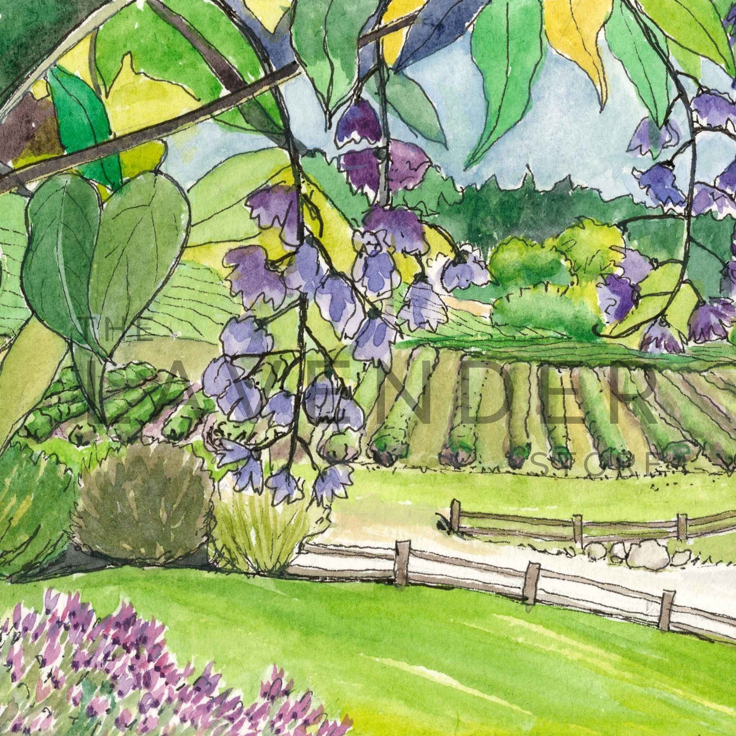 May at Pelindaba - Greeting Card featuring a serene lavender farm in full bloom under a clear spring sky.