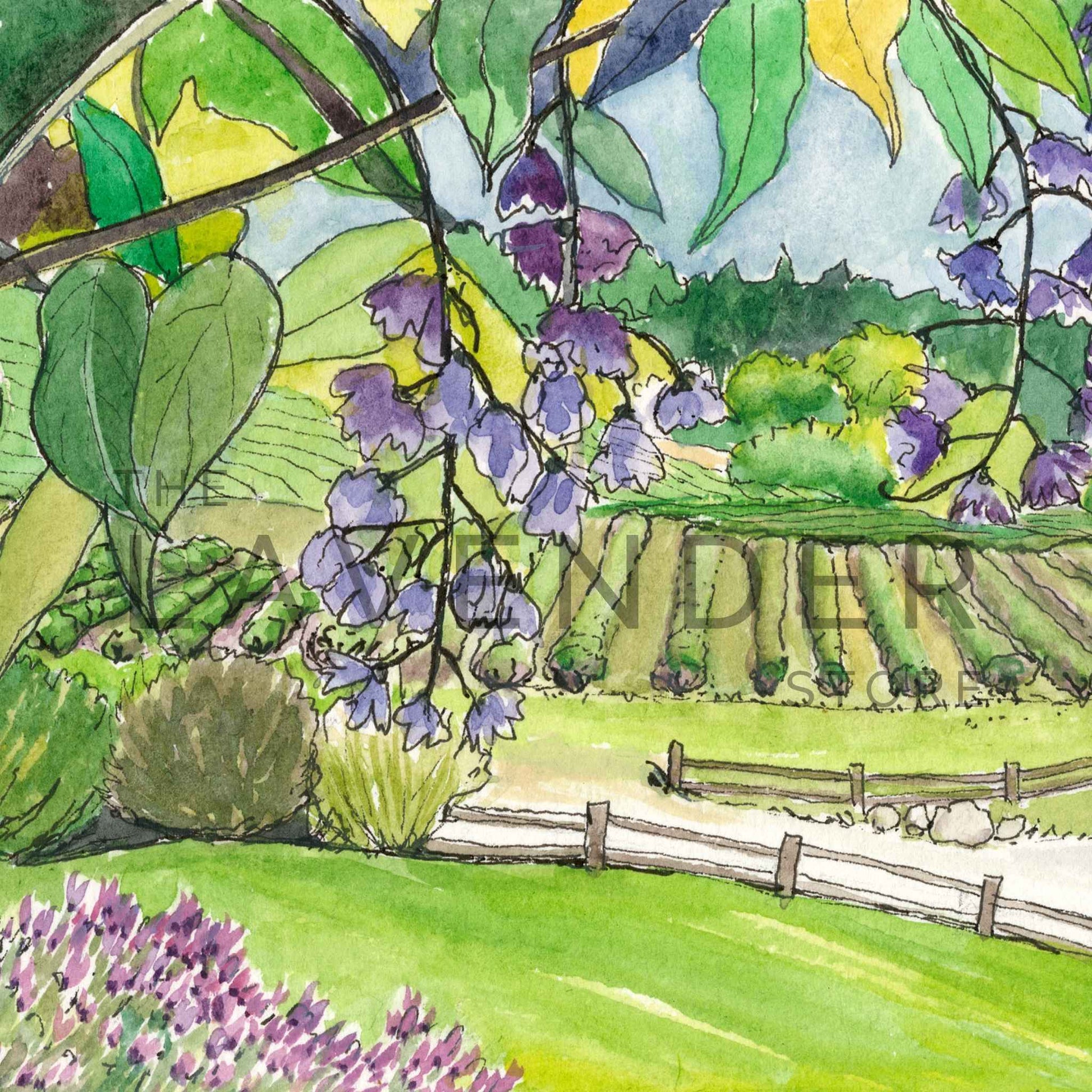 May at Pelindaba - Greeting Card featuring a serene lavender farm in full bloom under a clear spring sky.